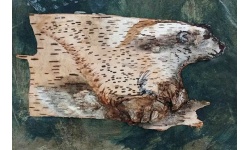 25008-Polar Bear Birch Bark