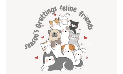 25024-Feline Friends Greetings