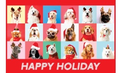 25032-Styling Puppies