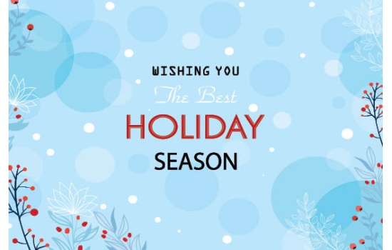 25028-The Best Holiday Season